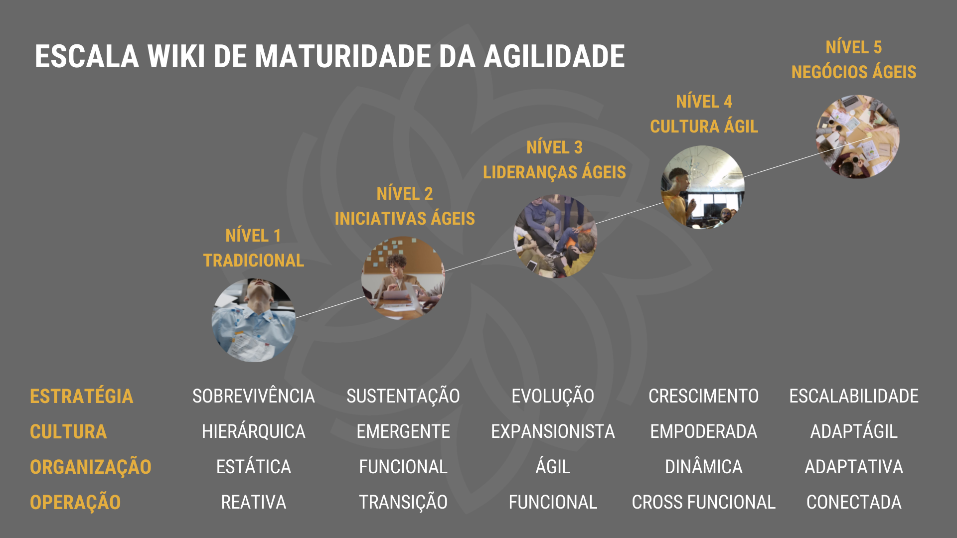 Escala WIKI de Maturidade da Agilidade